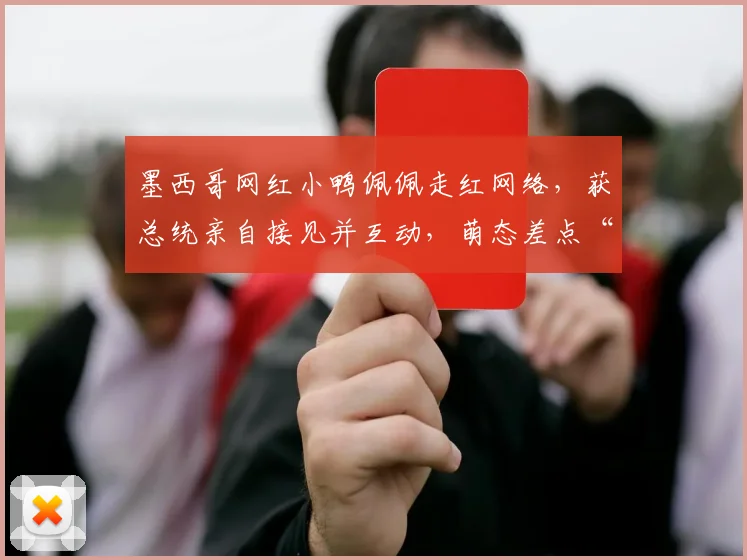 墨西哥网红小鸭佩佩走红网络,获总统亲自接见并互动,萌态差点“攻击”总统引发热议