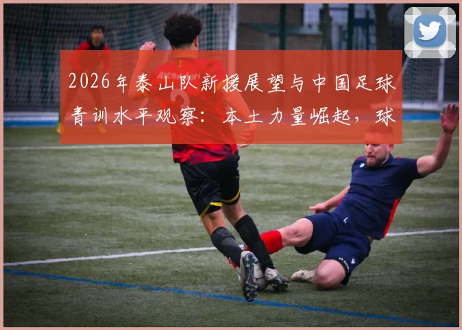 2026年泰山队新援展望与中国足球青训水平观察：本土力量崛起，球迷自豪感提升路径分析