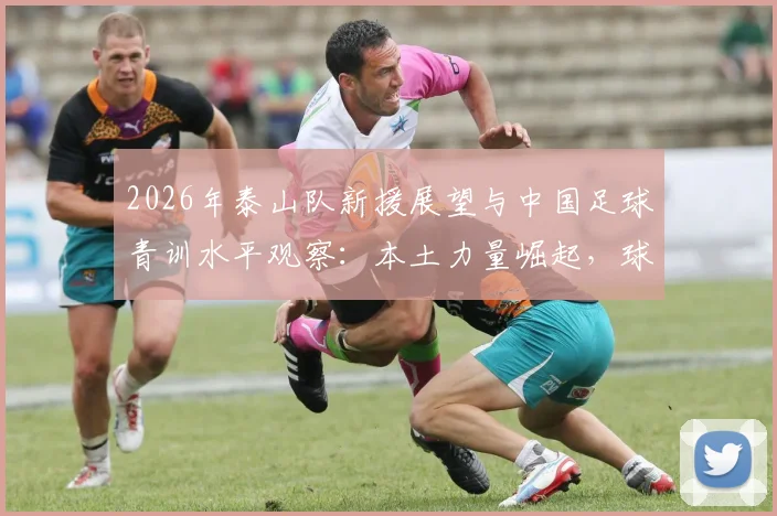 2026年泰山队新援展望与中国足球青训水平观察:本土力量崛起,球迷自豪感提升路径分析